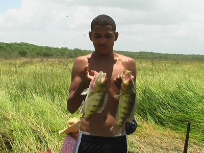 boy and fish